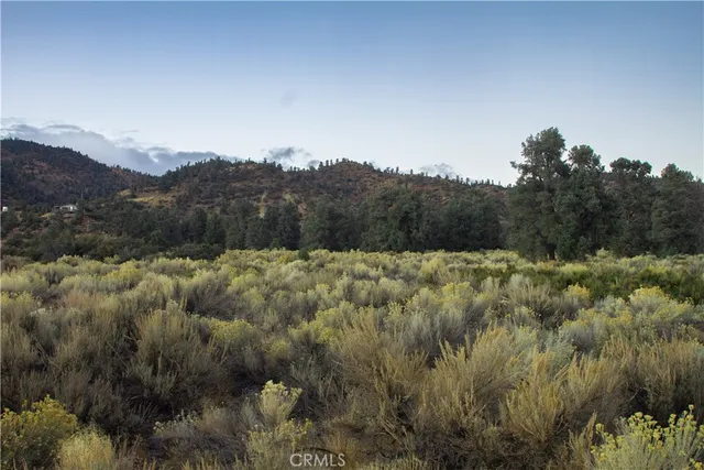 a view of a dry yard with mountains in the background