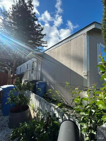 a close view of plant in front of house