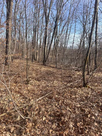 $29,900 | Xxx Xxx Norway Trail, Randall, MN 56475