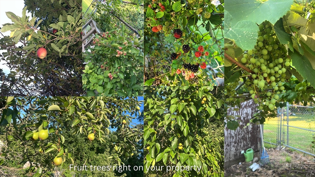 17 Horseshoe Road Dracut, MA 01826 - Photo 41 of 42