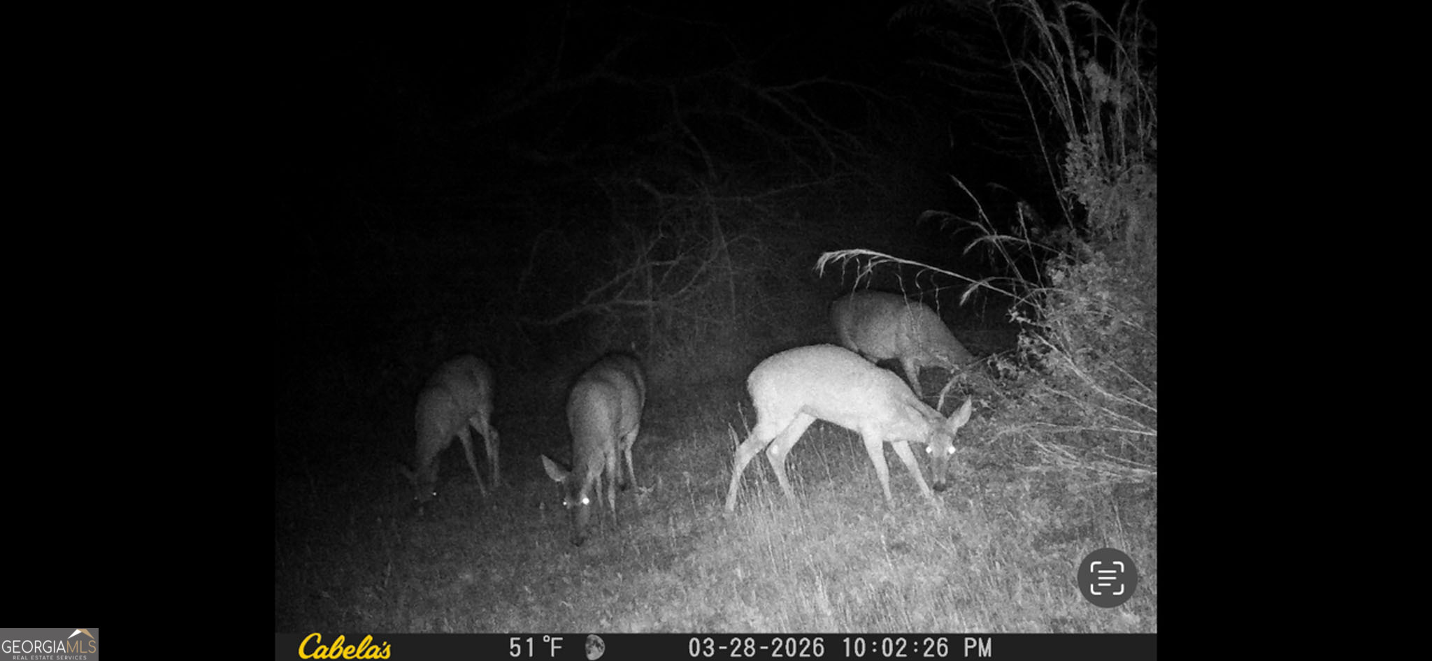 2512 Beulah Church Road Alma, GA 31510 - Photo 57 of 59