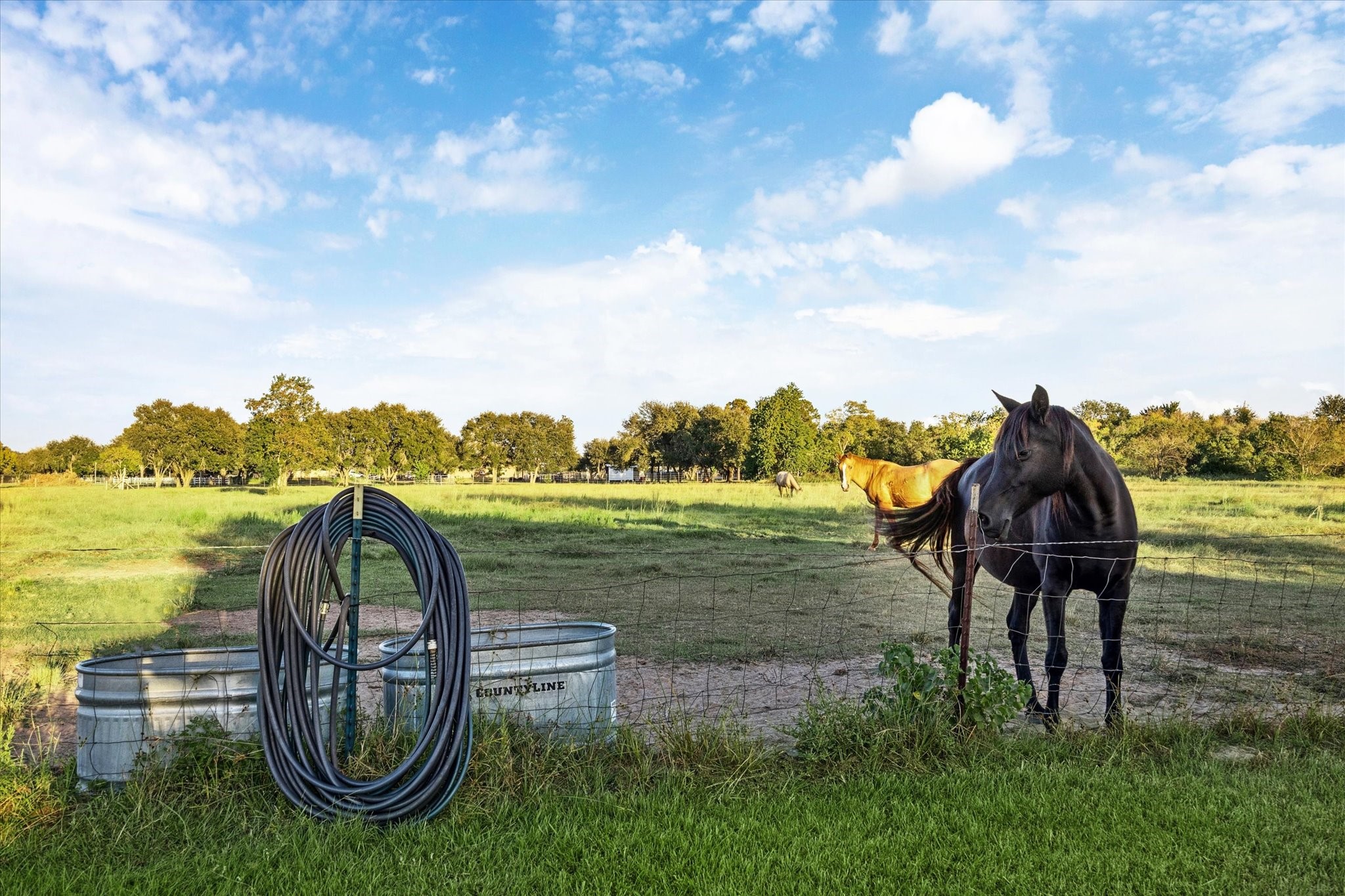 8850 Katy Hockley Road Katy, TX 77493 - Photo 4 of 37