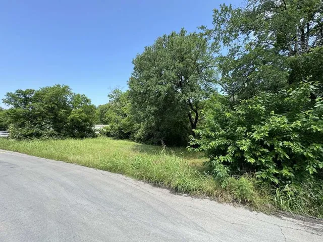 a view of a field with plants and trees