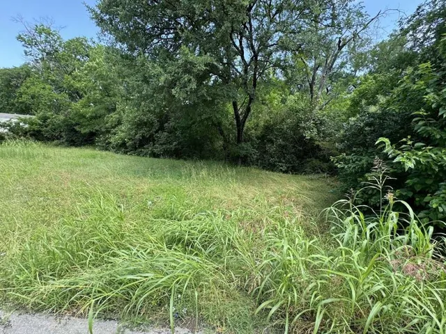 a view of a yard with a tree