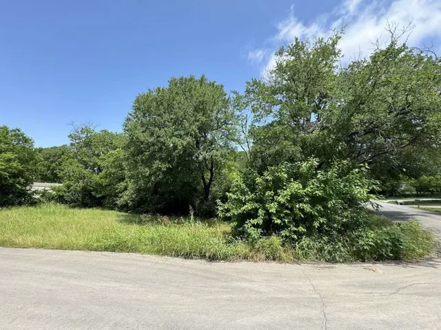 a view of a garden with a plant