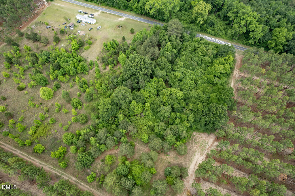 401 Johnson Pond Road Red Springs, NC 28377 - Photo 18 of 22 MLS_3.54acres_Hoke-7