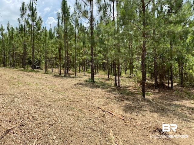 0 Box Road Semmes, AL 36575 - Photo 4 of 5