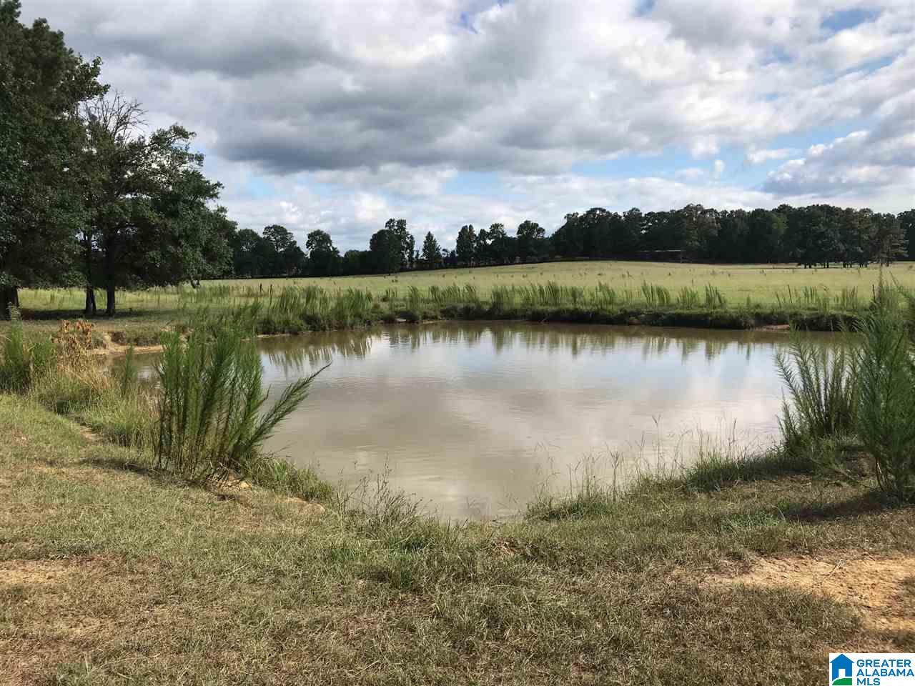 390 Limbaugh Road Sylacauga, AL 35150 - Photo 6 of 39