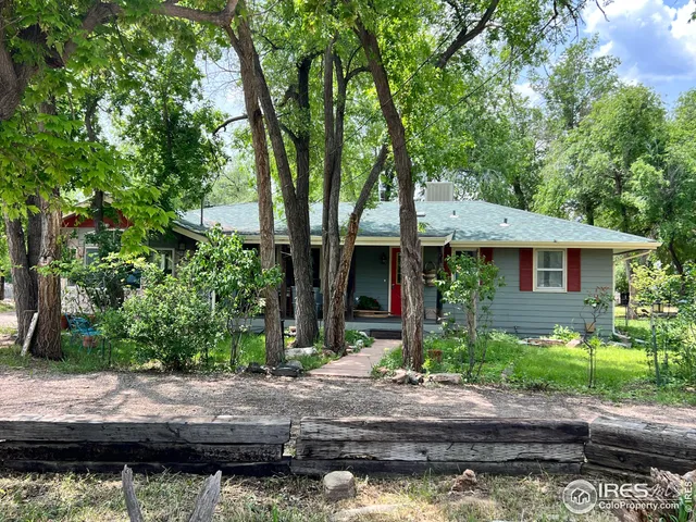 a view of a house with a yard and large tree