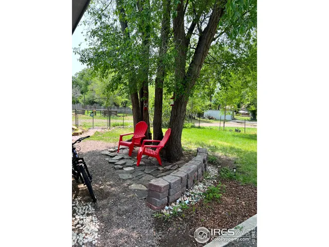 a view of a garden with a tree