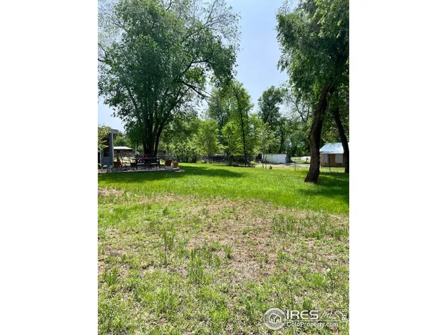 a view of a house with backyard and a tree