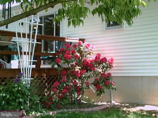 21 Pond Road Boyertown, PA 19512 - Photo 5 of 5 Gallery Image 5