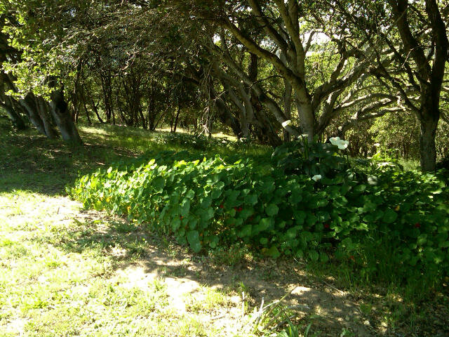 16410 Bonney Road Watsonville, CA 95076 - Photo 4 of 17 Gallery Image 4