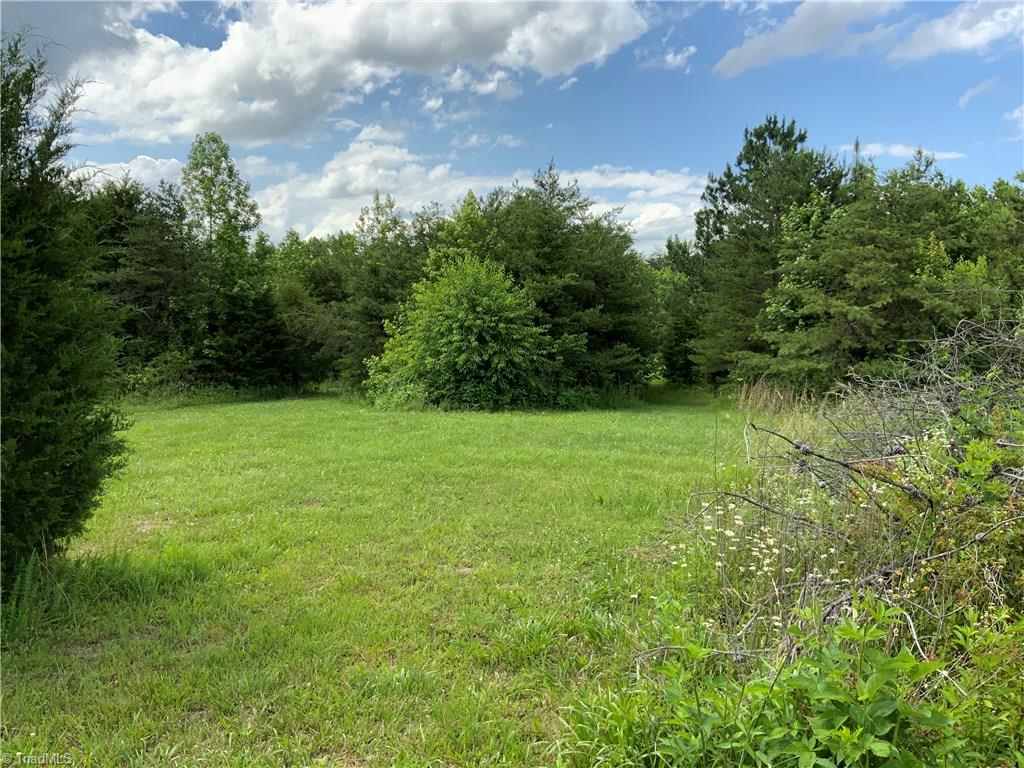 241 Dan River Road Madison, NC 27025 - Photo 23 of 30 Open Field