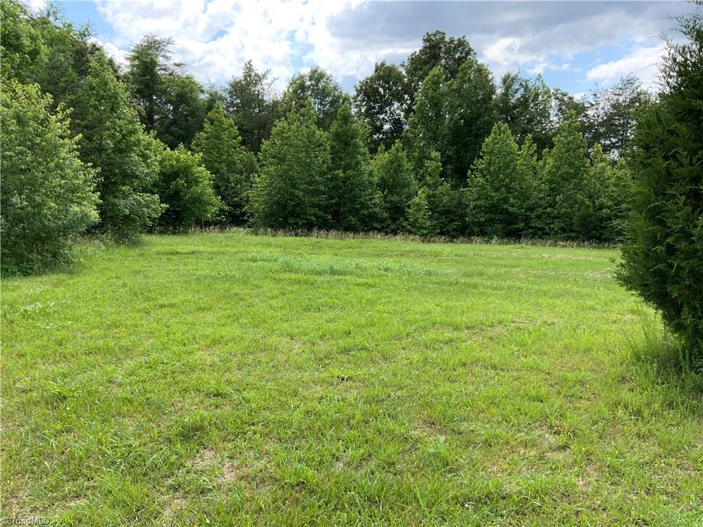 241 Dan River Road Madison, NC 27025 - Photo 24 of 30 Open Field