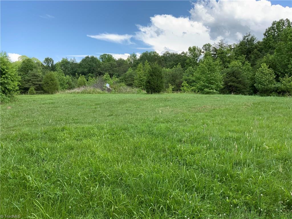 241 Dan River Road Madison, NC 27025 - Photo 25 of 30 Open Field