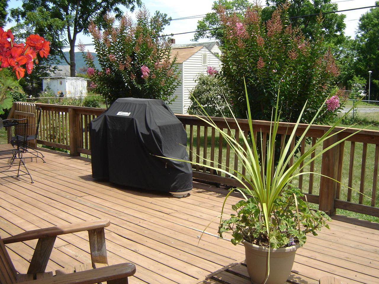 5303 Darby Road Roanoke, VA 24012 - Photo 9 of 28 Deck