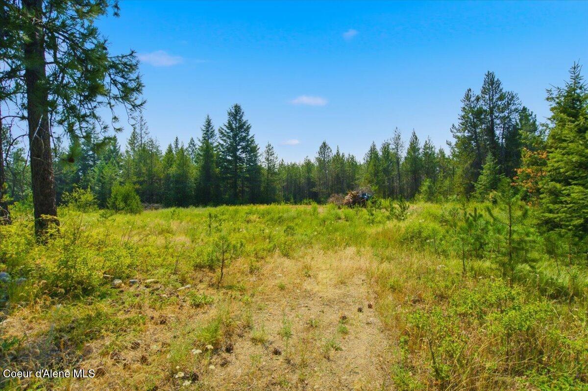 18667 North Ramsey Road Rathdrum, ID 83858 - Photo 16 of 25 17-18667 N Ramsey Rd_RedHogMedia