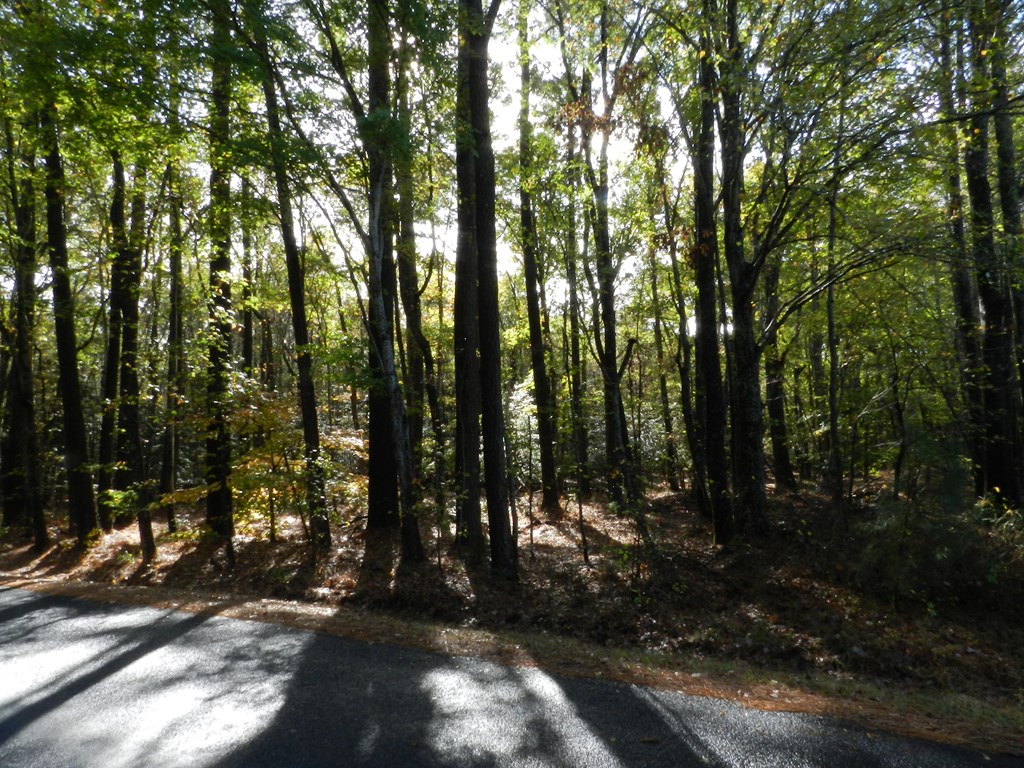 Lot E2 Battle Point Road, Unit E2 Exmore, VA 23350 - Photo 4 of 22