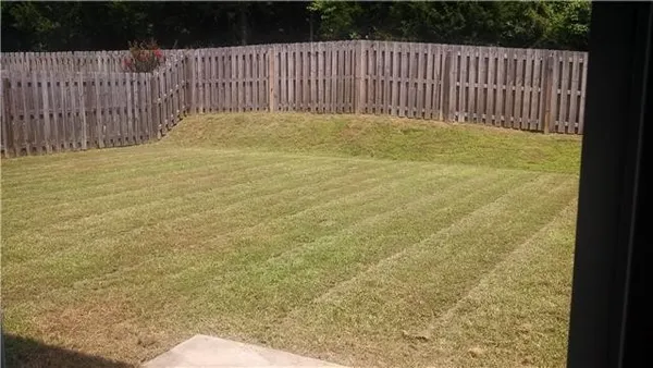 a view of a garden