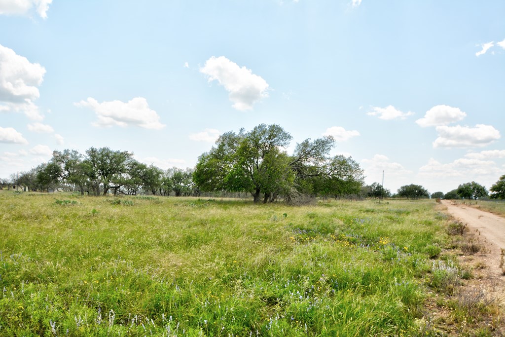 18885 Rr 479 Harper, TX 78631 - Photo 3 of 8