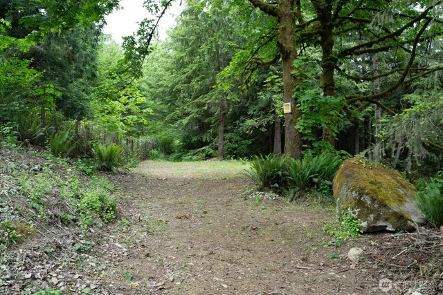 a view of outdoor space and trees