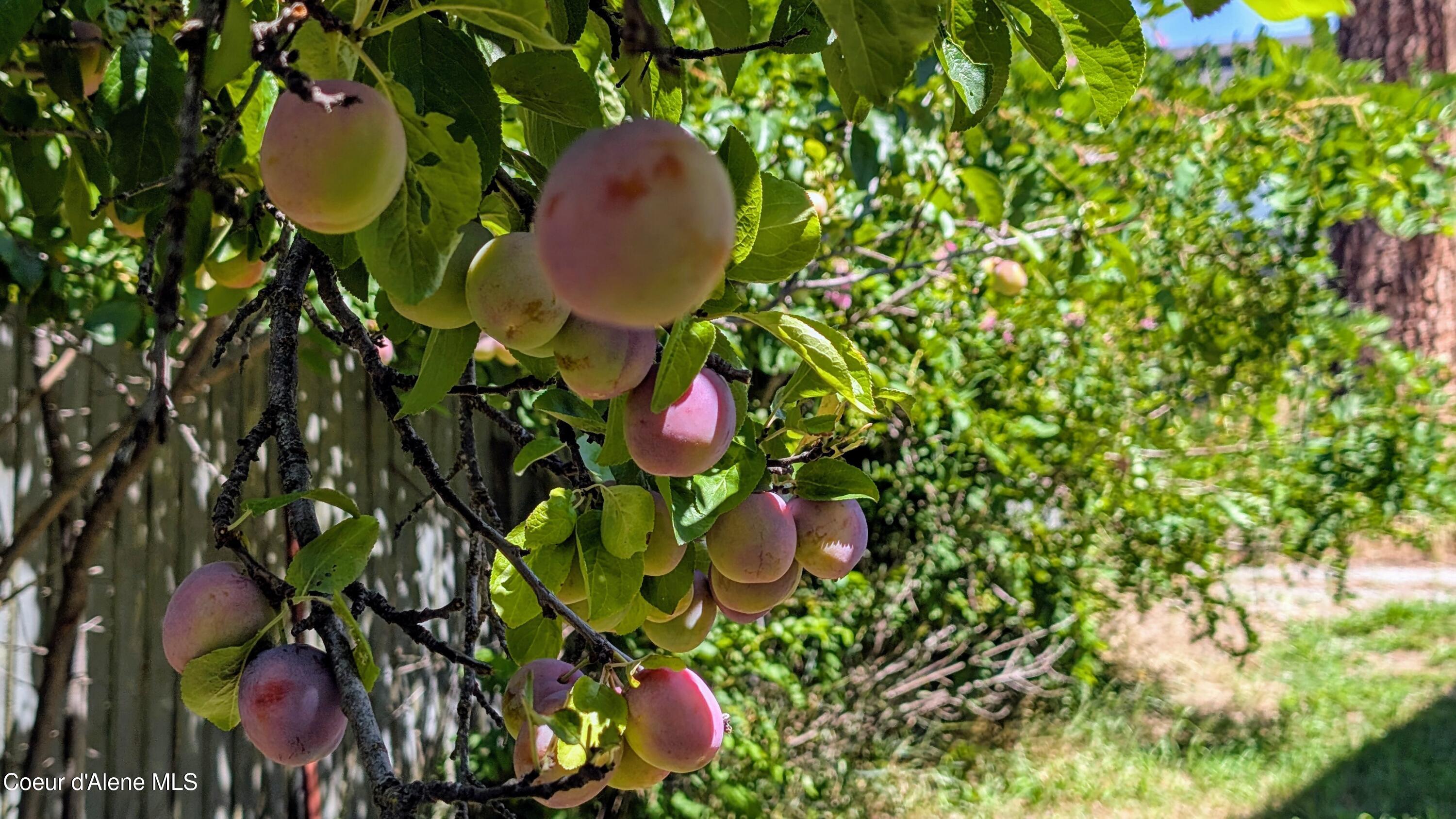 6577 Comanche Street Bonners Ferry, ID 83805 - Photo 39 of 52 6577 Comanche