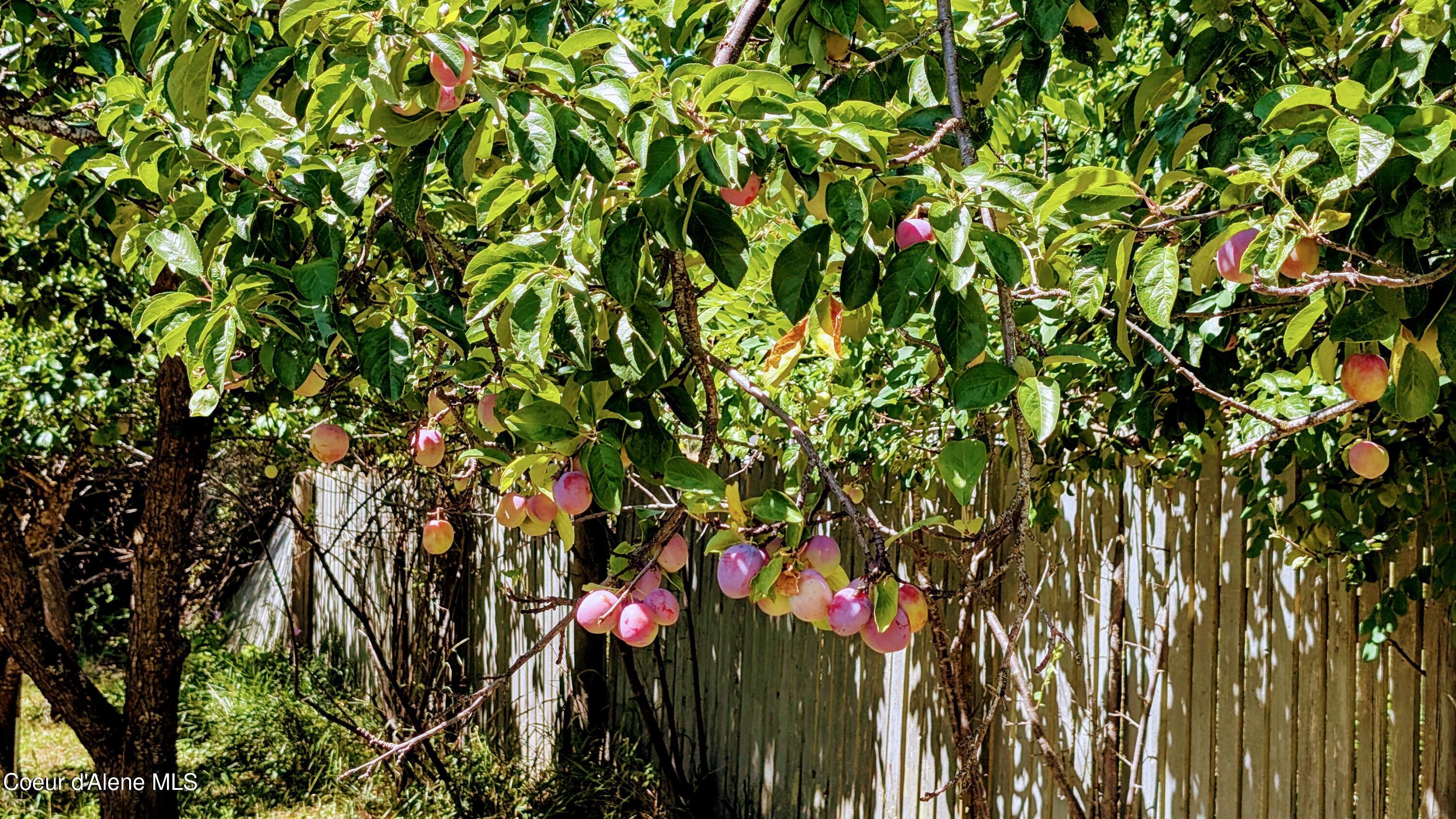 6577 Comanche Street Bonners Ferry, ID 83805 - Photo 40 of 52 6577 Comanche