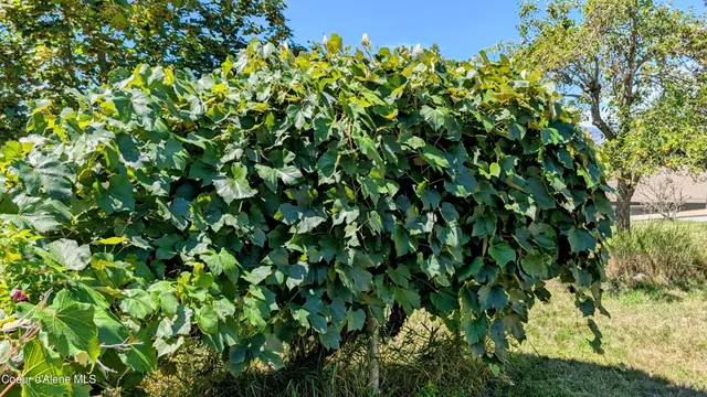 $328,000 | 6577 Comanche Street, Bonners Ferry, ID 83805