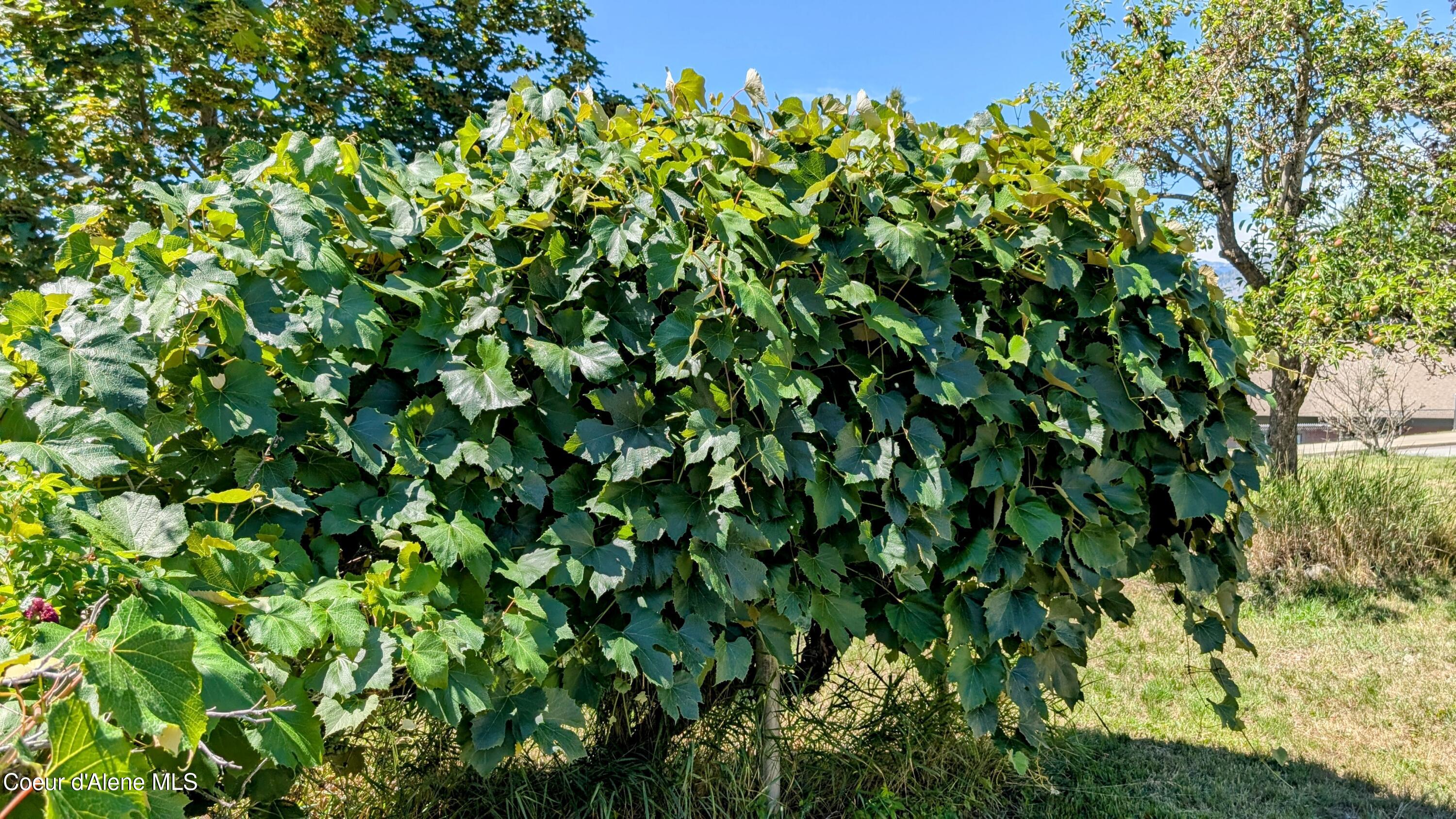 6577 Comanche Street Bonners Ferry, ID 83805 - Photo 42 of 52 6577 Comanche