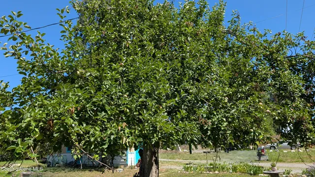 $328,000 | 6577 Comanche Street, Bonners Ferry, ID 83805