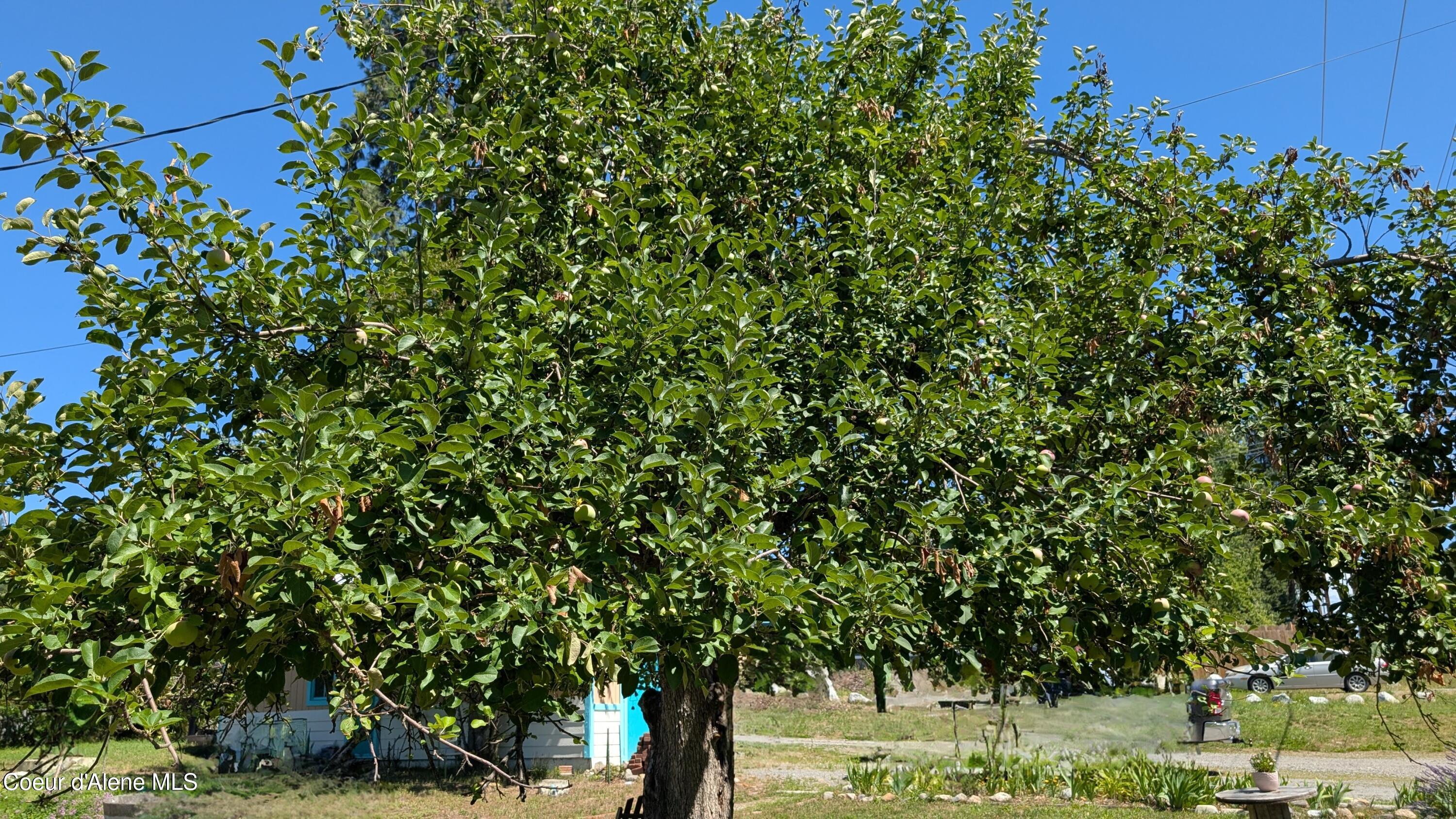 6577 Comanche Street Bonners Ferry, ID 83805 - Photo 43 of 52 6577 Comanche