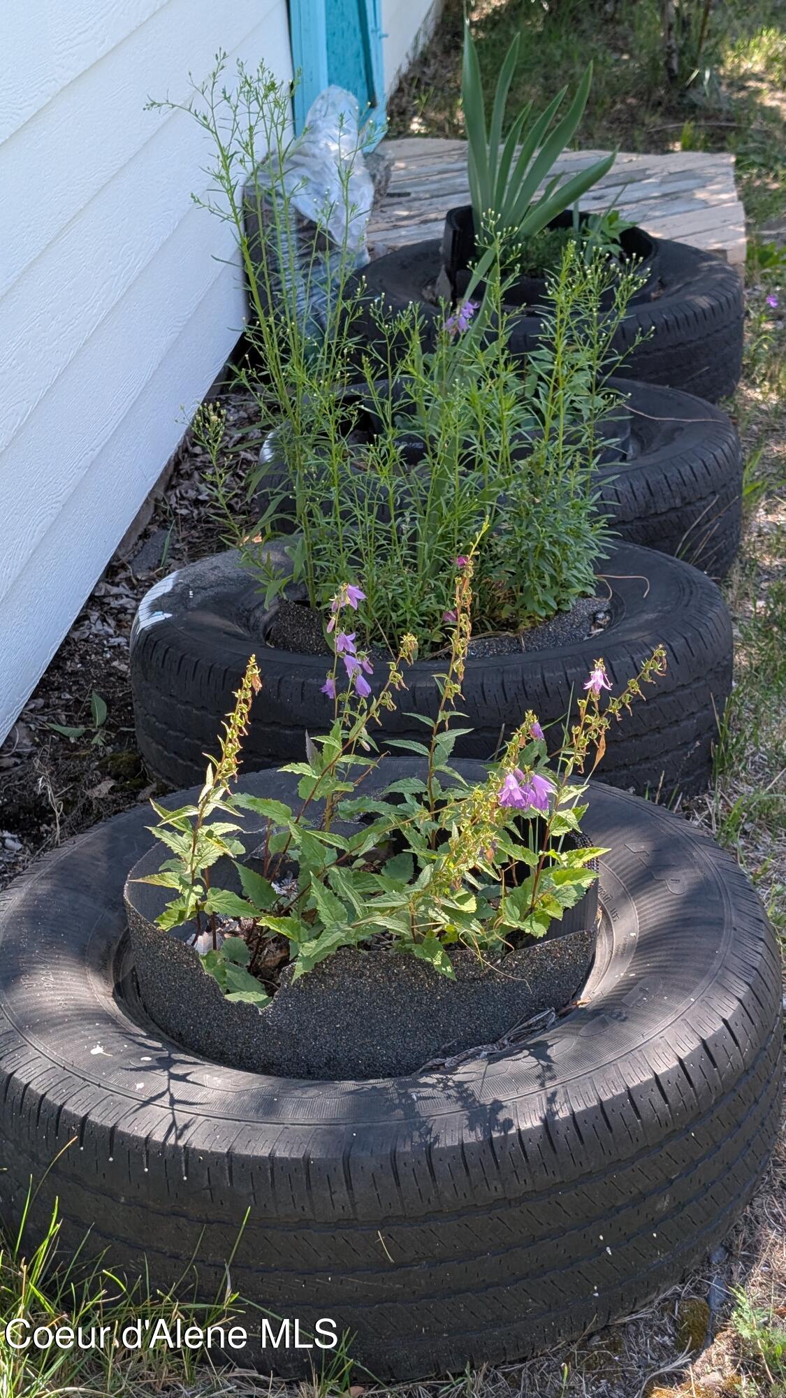 6577 Comanche Street Bonners Ferry, ID 83805 - Photo 9 of 52 6577 Comanche