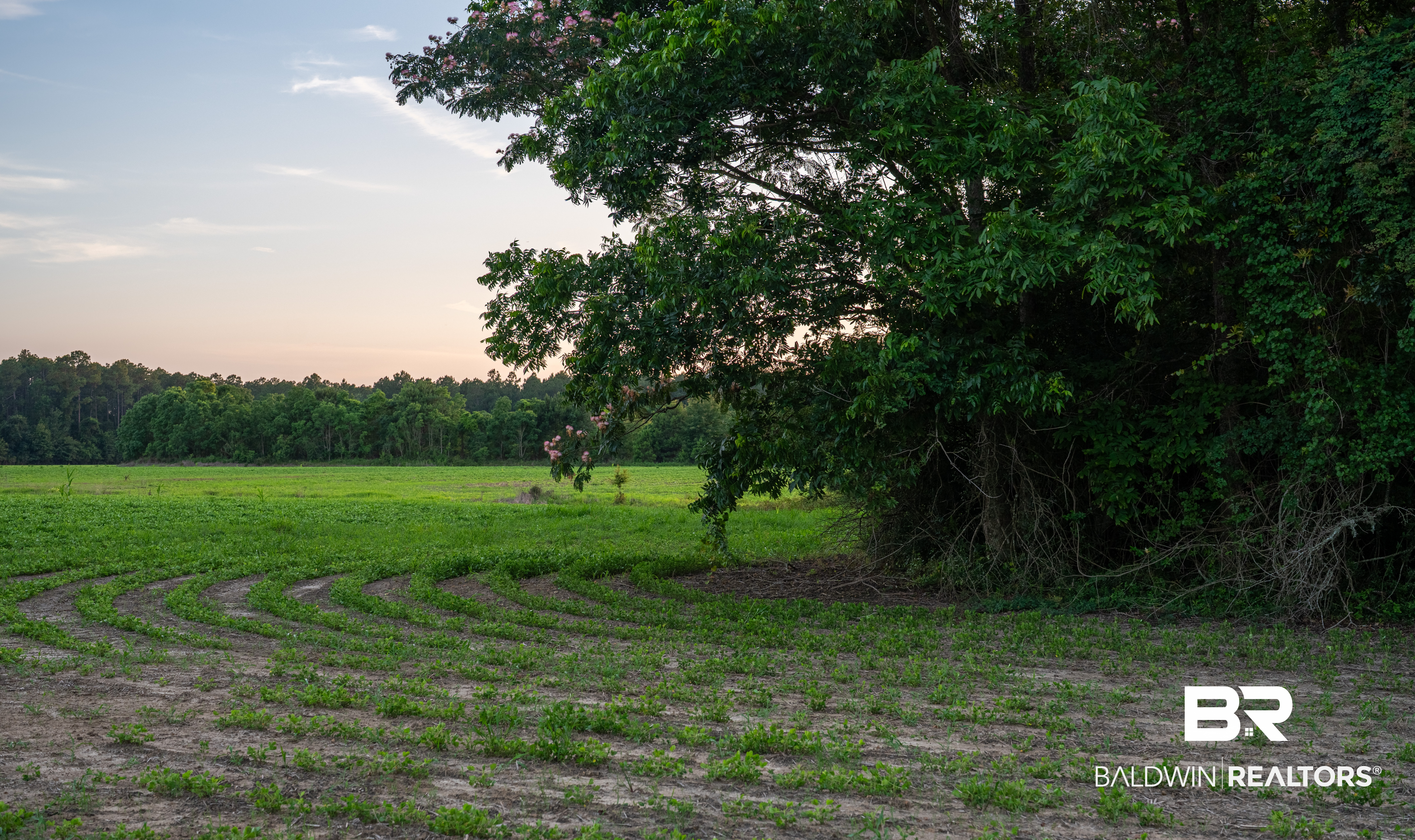 0 Bromley Road Stapleton, AL 36578 - Photo 31 of 48 Gallery Image 31