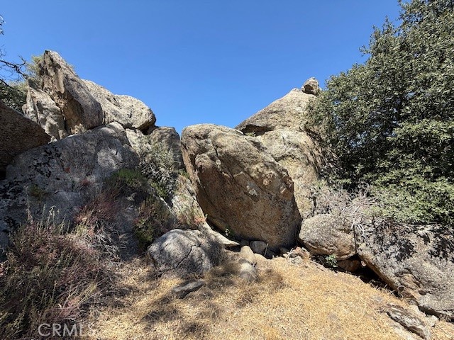 27251 Deertrail Drive Tehachapi, CA 93561 - Photo 11 of 22 a view of a yard