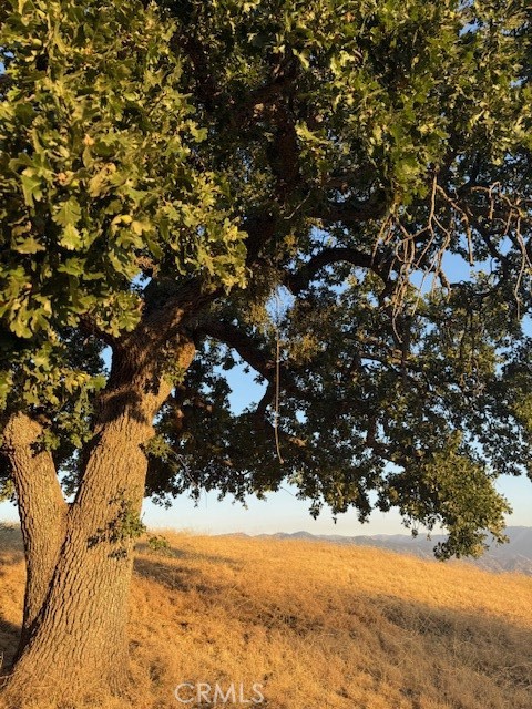 27251 Deertrail Drive Tehachapi, CA 93561 - Photo 12 of 22 a view of ocean