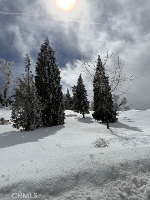 27251 Deertrail Drive Tehachapi, CA 93561 - Photo 13 of 22 a view of road and covered with snow