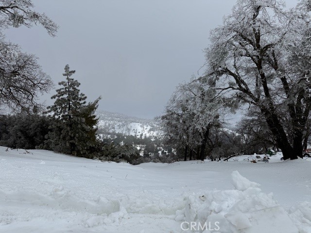 27251 Deertrail Drive Tehachapi, CA 93561 - Photo 14 of 22 a view of outdoor space and trees