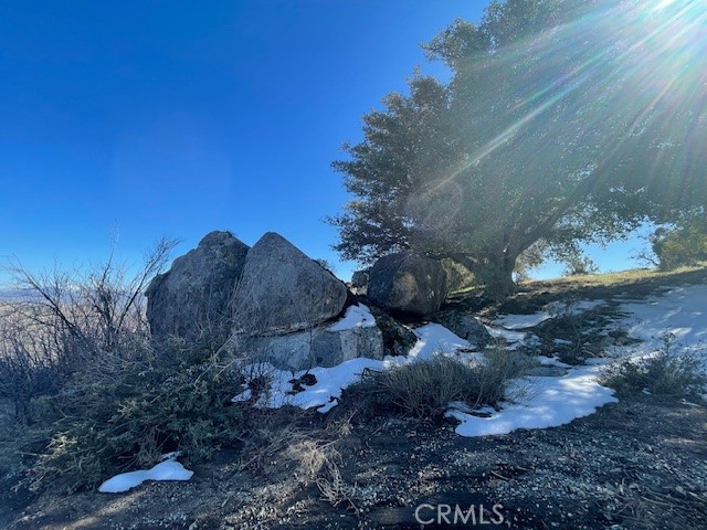 27251 Deertrail Drive Tehachapi, CA 93561 - Photo 15 of 22 a view of a backyard of the house