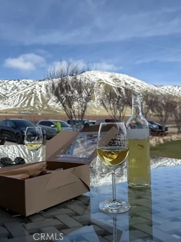 a view of a big yard with large trees