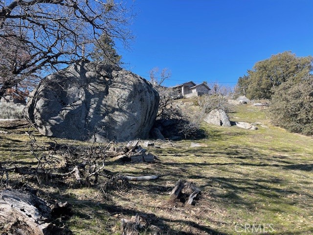 27251 Deertrail Drive Tehachapi, CA 93561 - Photo 5 of 22 a view of a dry yard with wooden fence