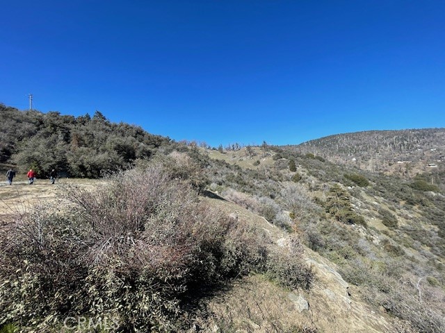 27251 Deertrail Drive Tehachapi, CA 93561 - Photo 6 of 22 a view of a mountain