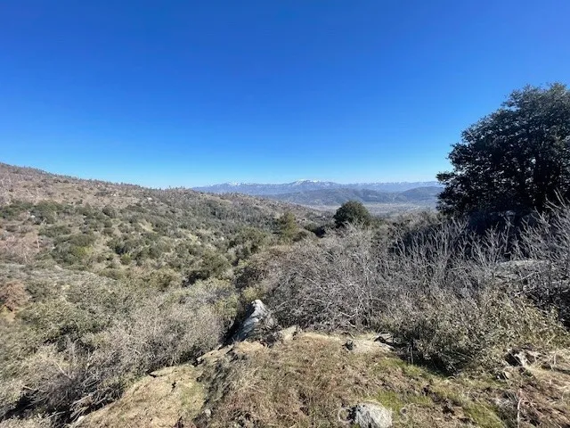 a view of a yard with mountain view