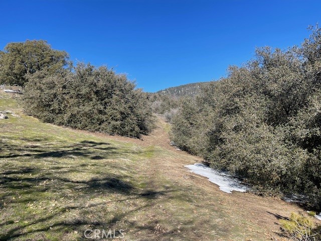 27251 Deertrail Drive Tehachapi, CA 93561 - Photo 9 of 22 a view of a yard with mountain view