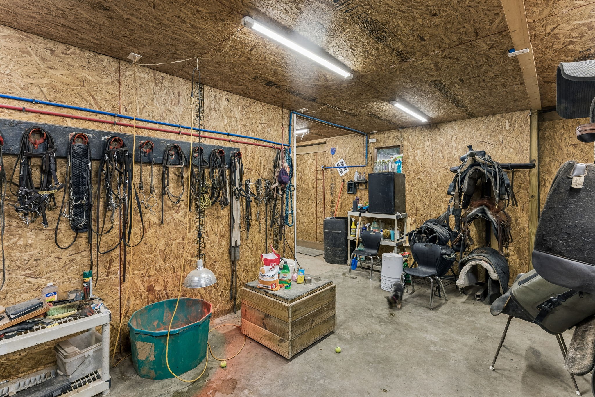 950 Old Agnew Road Pulaski, TN 38478 - Photo 43 of 69