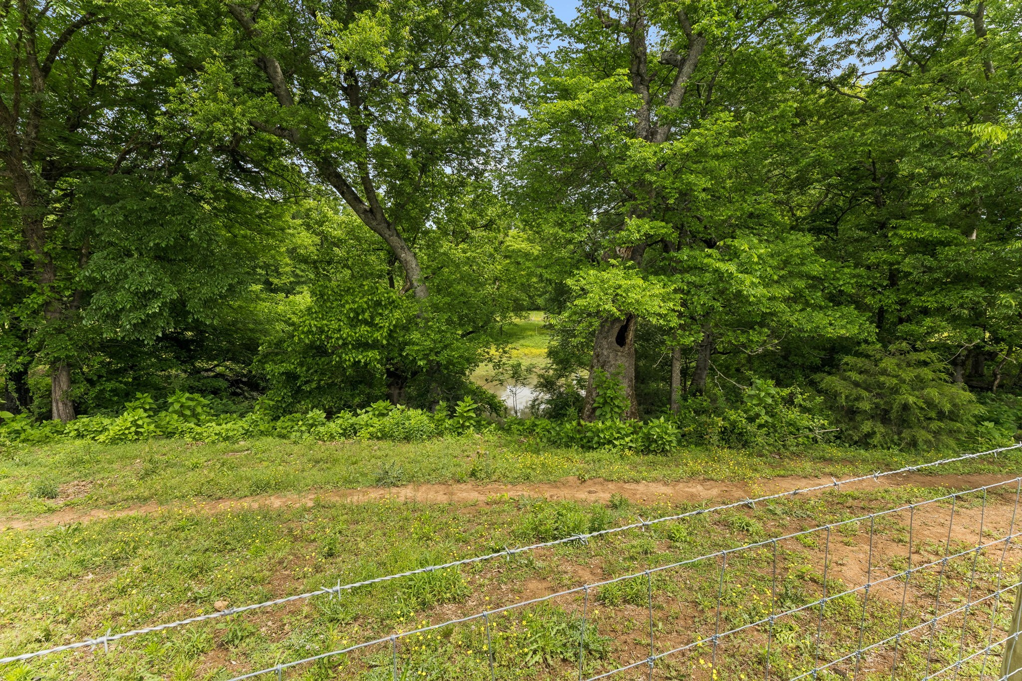 950 Old Agnew Road Pulaski, TN 38478 - Photo 50 of 69