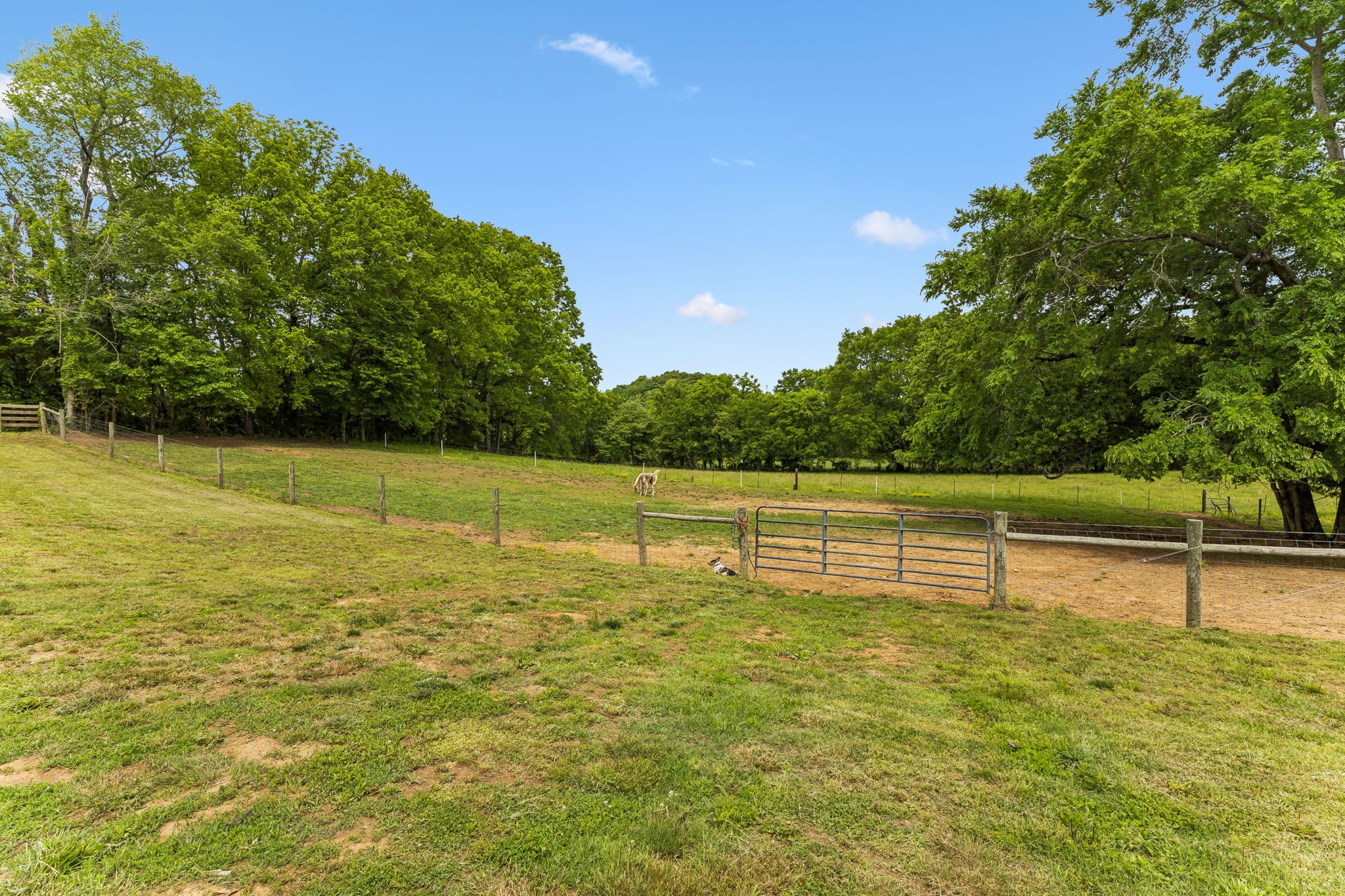 950 Old Agnew Road Pulaski, TN 38478 - Photo 61 of 69