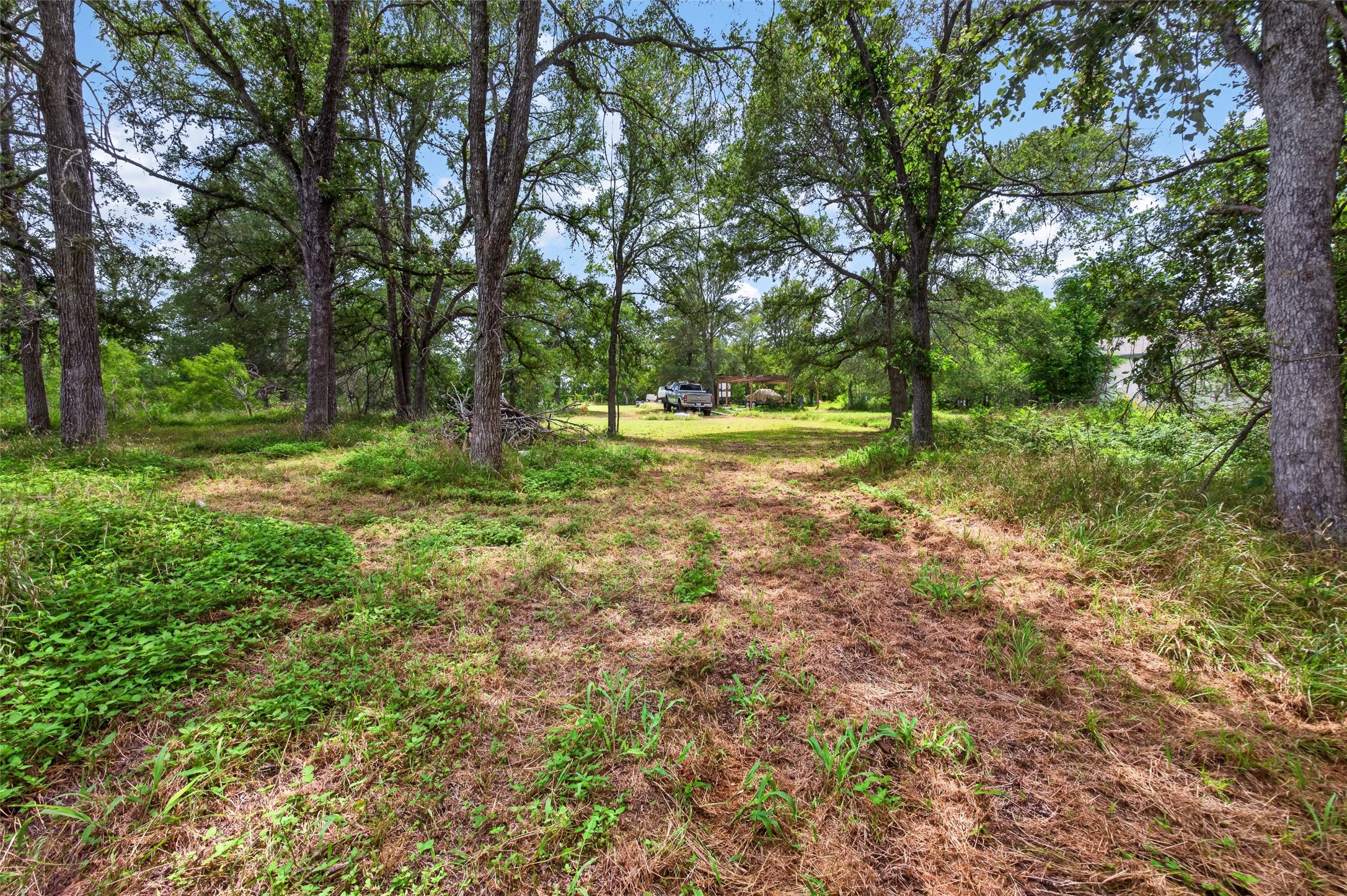 266 Beaver Road Elgin, TX 78621 - Photo 29 of 40 Mature trees frame a private path leading to a peaceful, secluded setting.