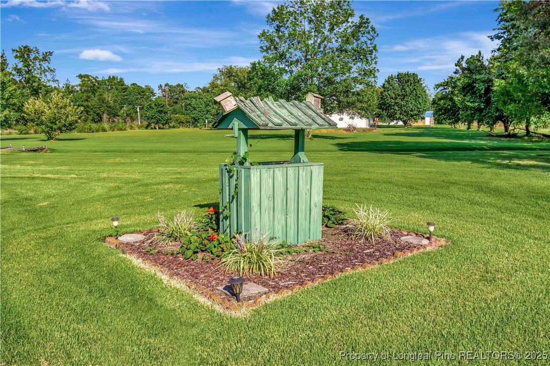 725 Henry Hammond Road Lumberton, NC 28360 - Photo 40 of 42 a green field with lots of trees in it