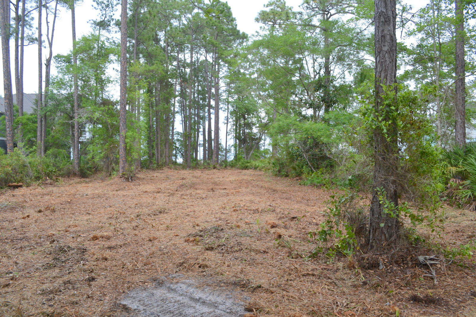 Lot B Lot B Joy Santa Rosa Beach Santa Rosa Beach, FL 32459 - Photo 11 of 12 Gallery Image 11